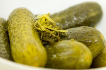 Dill cucumber pickle recipe revealed at Jewish Museum's Can We Talk About Poland?